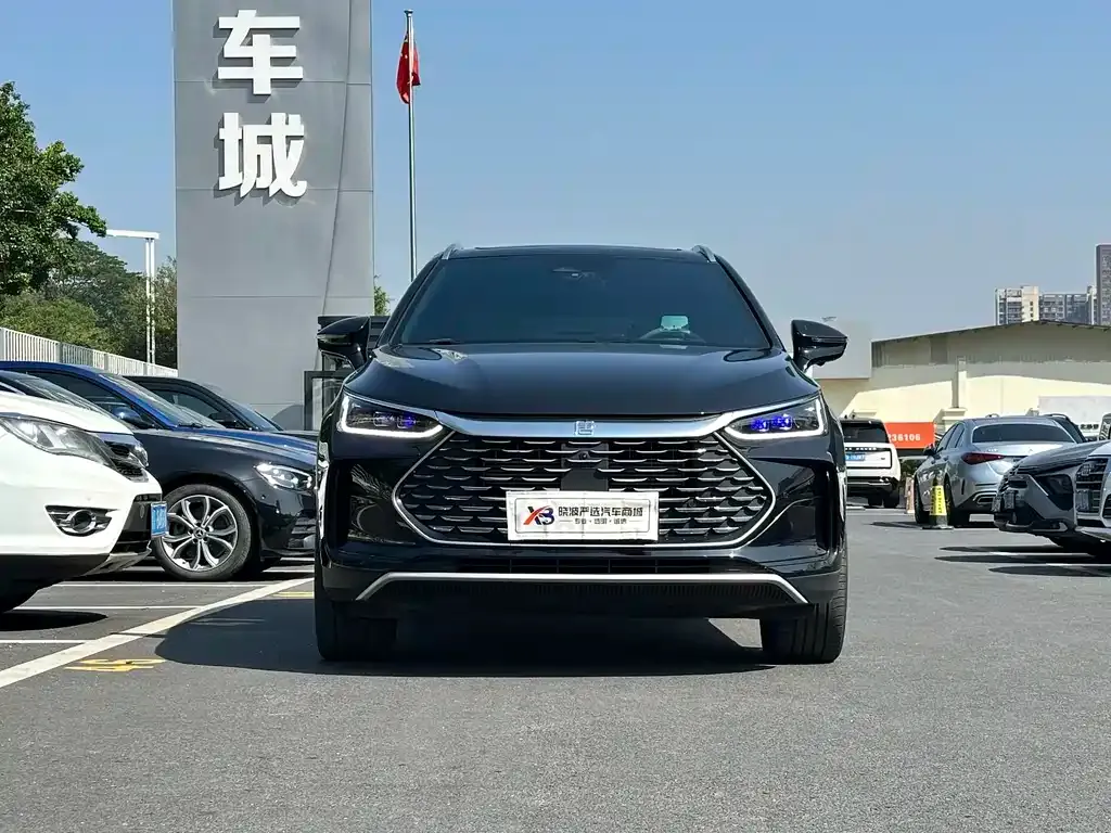 BYD Tang New Energy — фото 5
