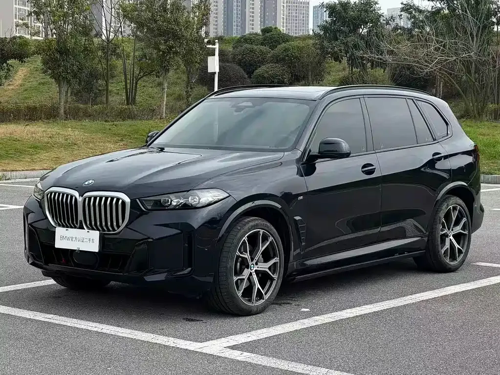 BMW X5 2025 из CN, фото 1