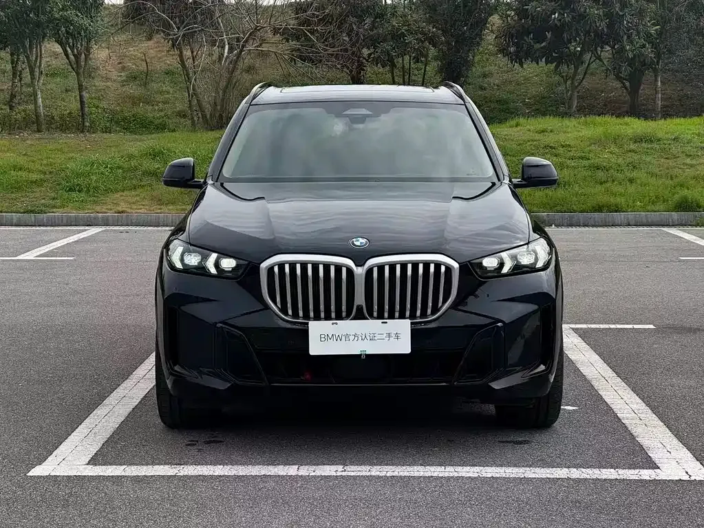 BMW X5 2025 из CN, фото 4