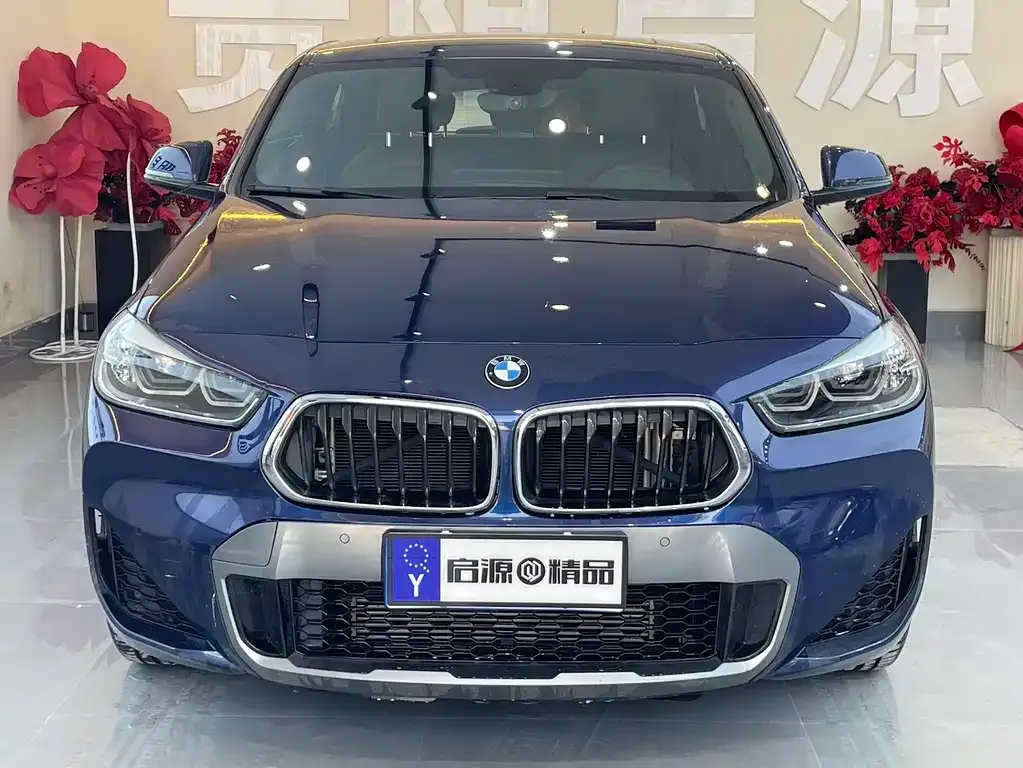 BMW X2 2021 из CN, фото 10