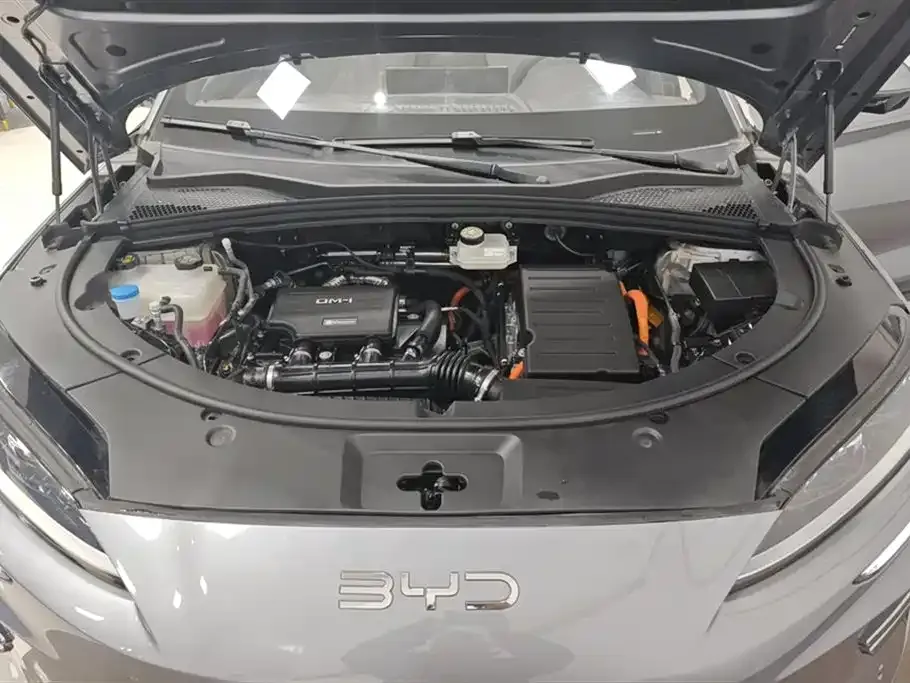 BYD PLUS New Energy — фото 2