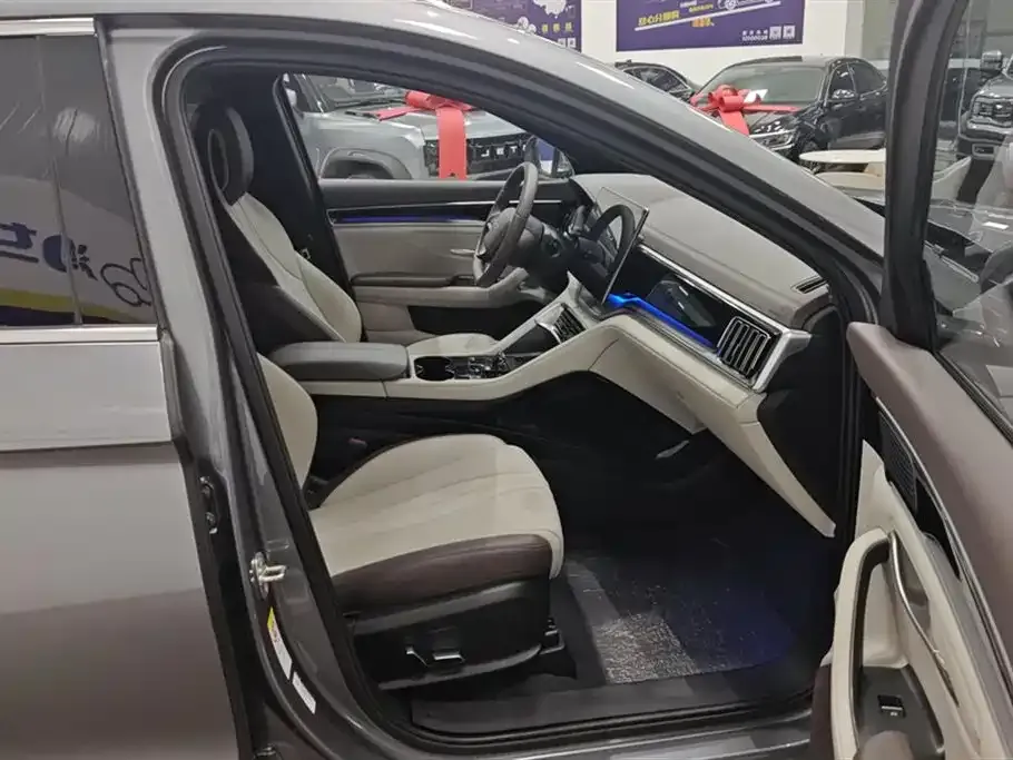 BYD PLUS New Energy — фото 10