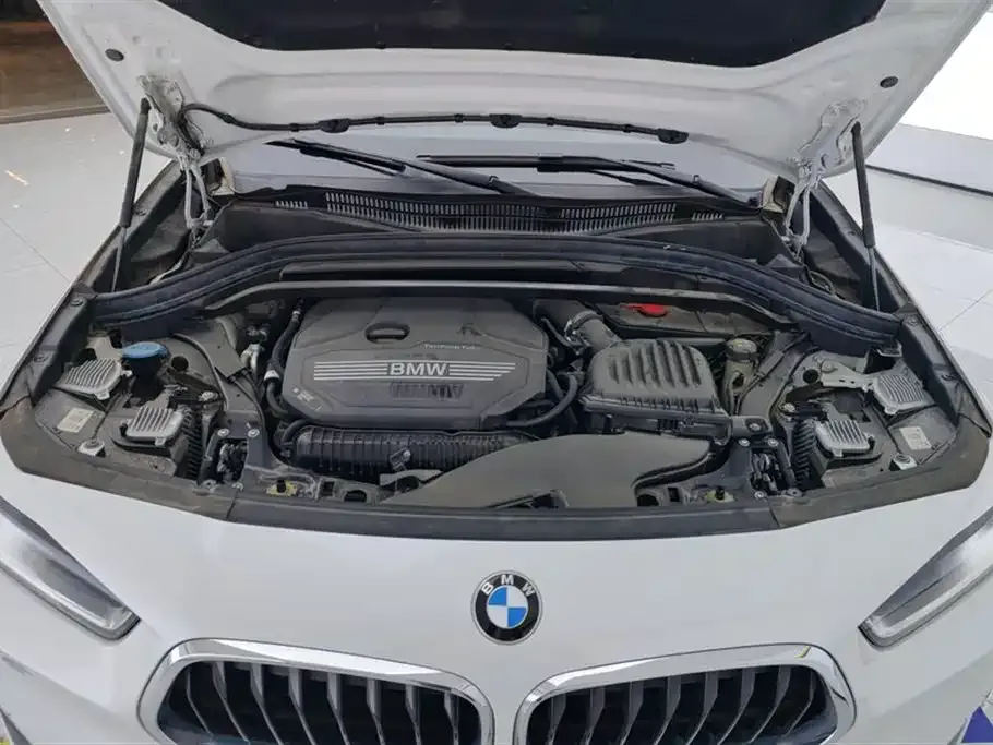 BMW X2 2021 из CN, фото 8