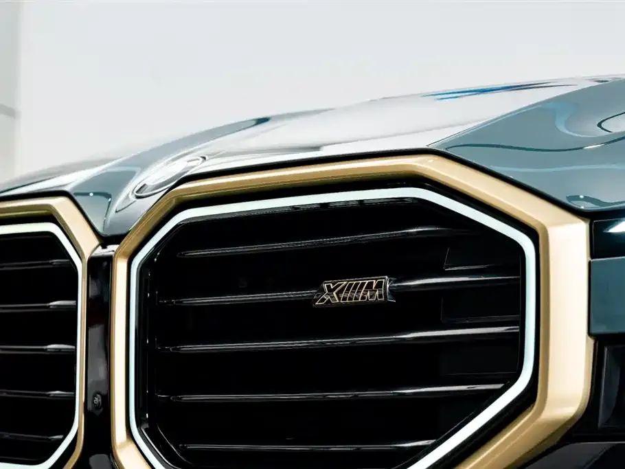 BMW XM 2024 из CN, фото 2