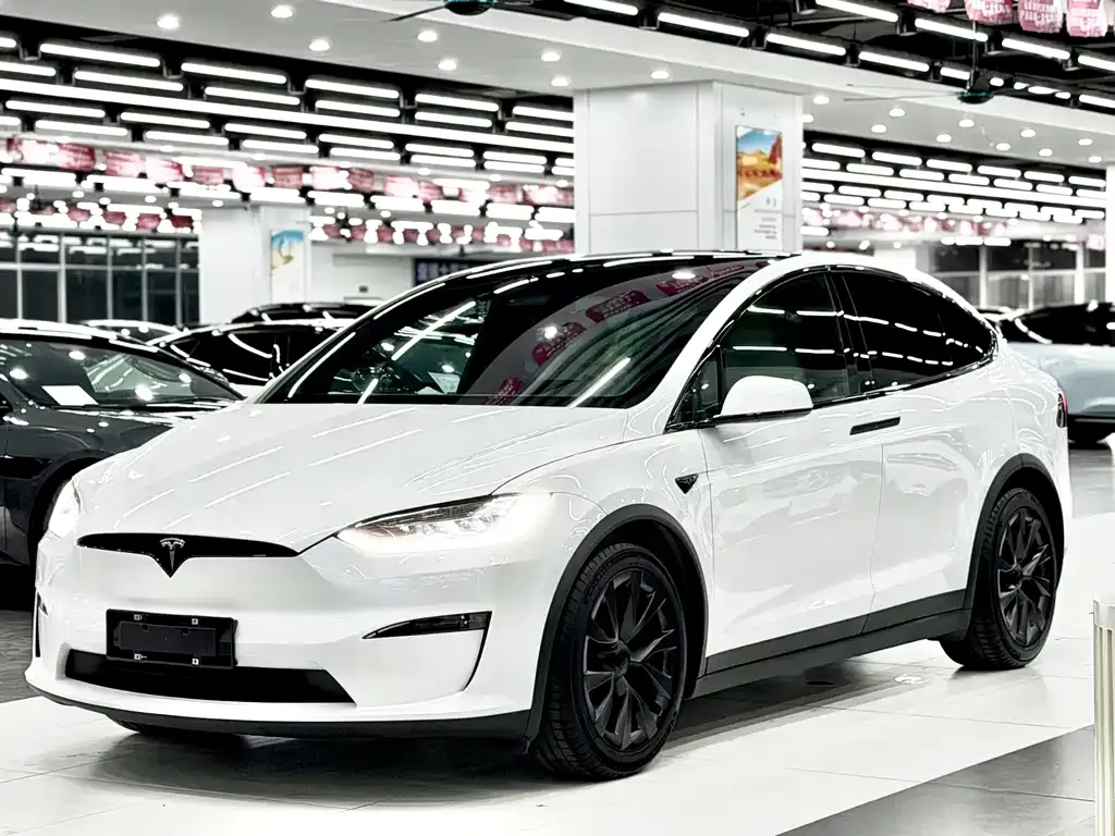 Tesla Model X 2023 из CN, фото 1