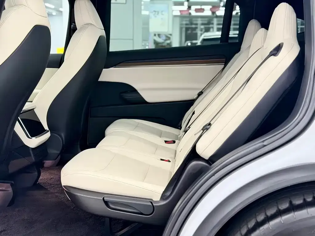 Tesla Model X 2023 из CN, фото 9