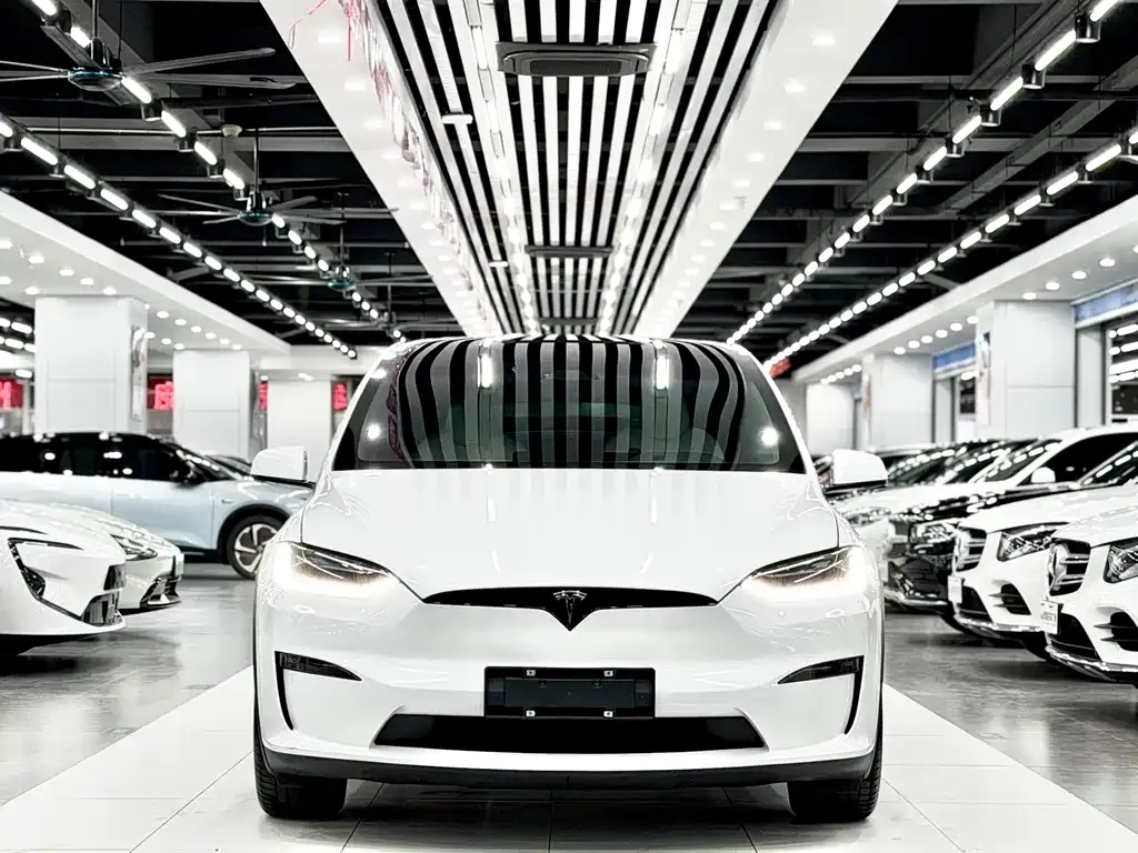 Tesla Model X 2023 из CN, фото 5