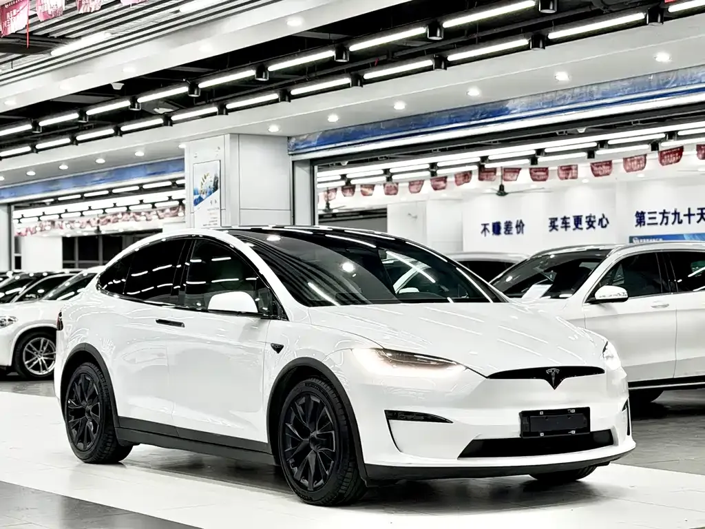 Tesla Model X 2023 из CN, фото 10