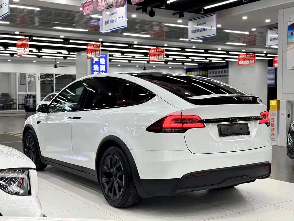 Tesla Model X 2023 из CN, фото 4