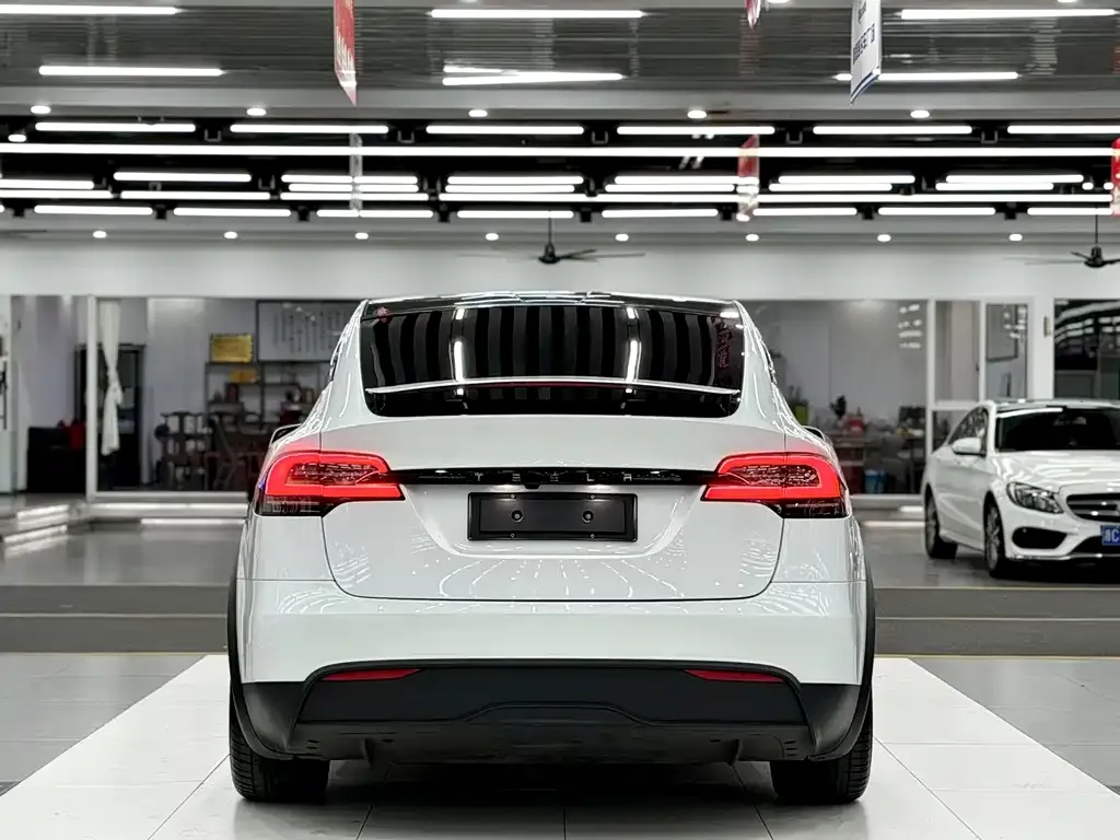 Tesla Model X 2023 из CN, фото 8