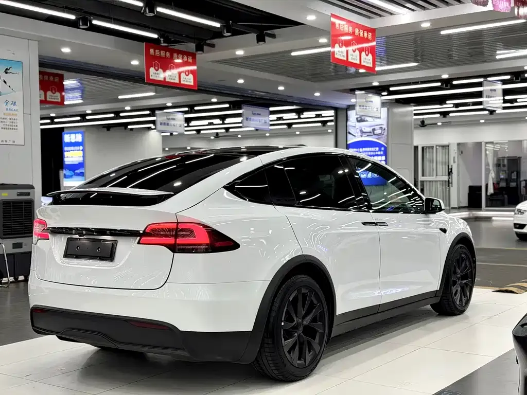 Tesla Model X 2023 из CN, фото 6