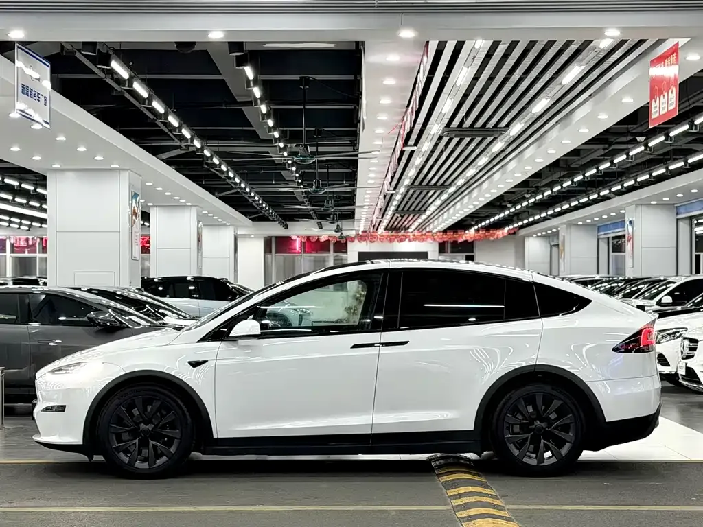 Tesla Model X 2023 из CN, фото 3