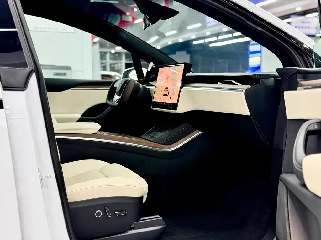 Tesla Model X 2023 из CN, фото 2