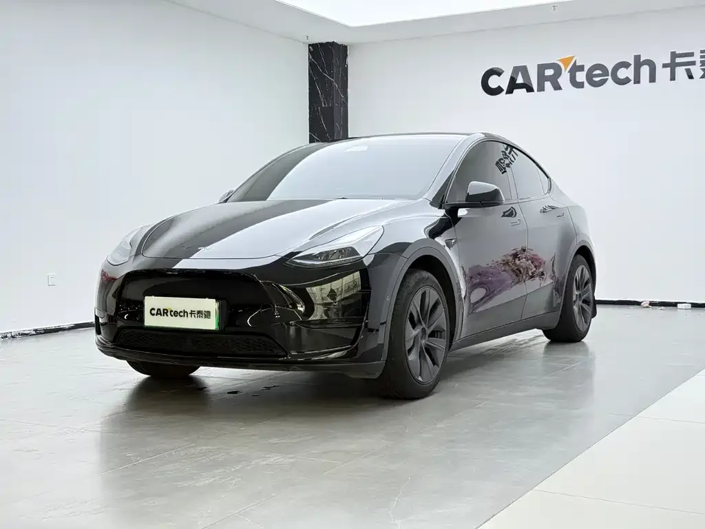 Tesla Model Y — фото 1