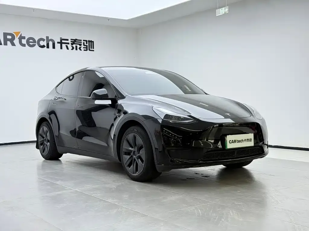 Tesla Model Y — фото 2