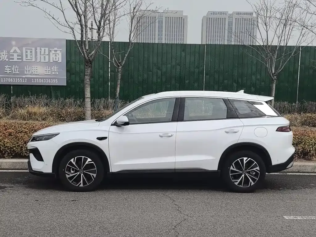 BYD Pro New Energy — фото 8