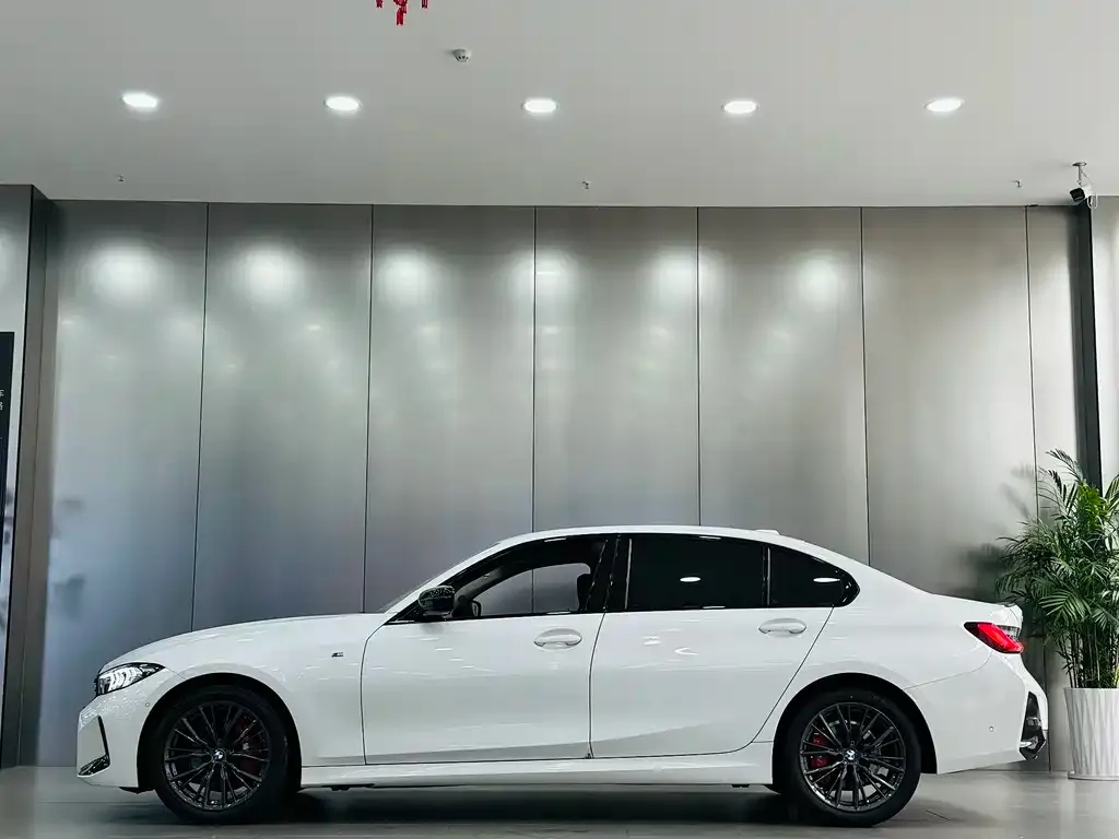 BMW 3 Series 2024 из CN, фото 6