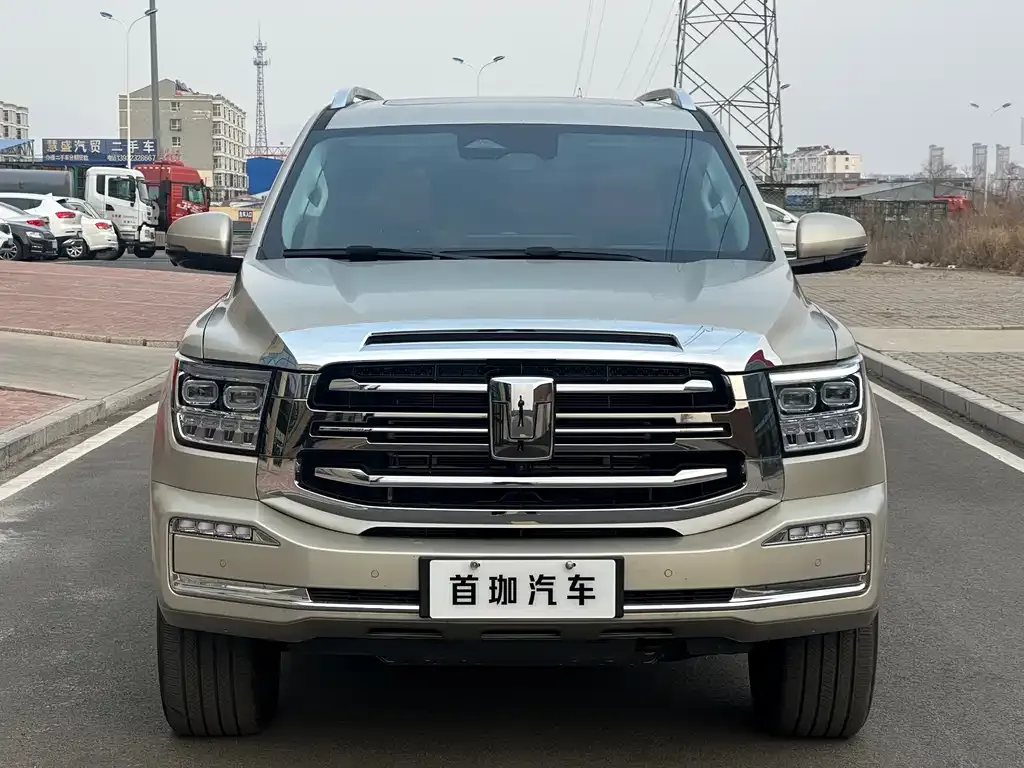 Tank 500 New Energy 2025 из CN, фото 10