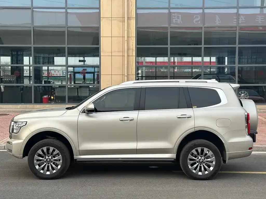 Tank 500 New Energy 2025 из CN, фото 3