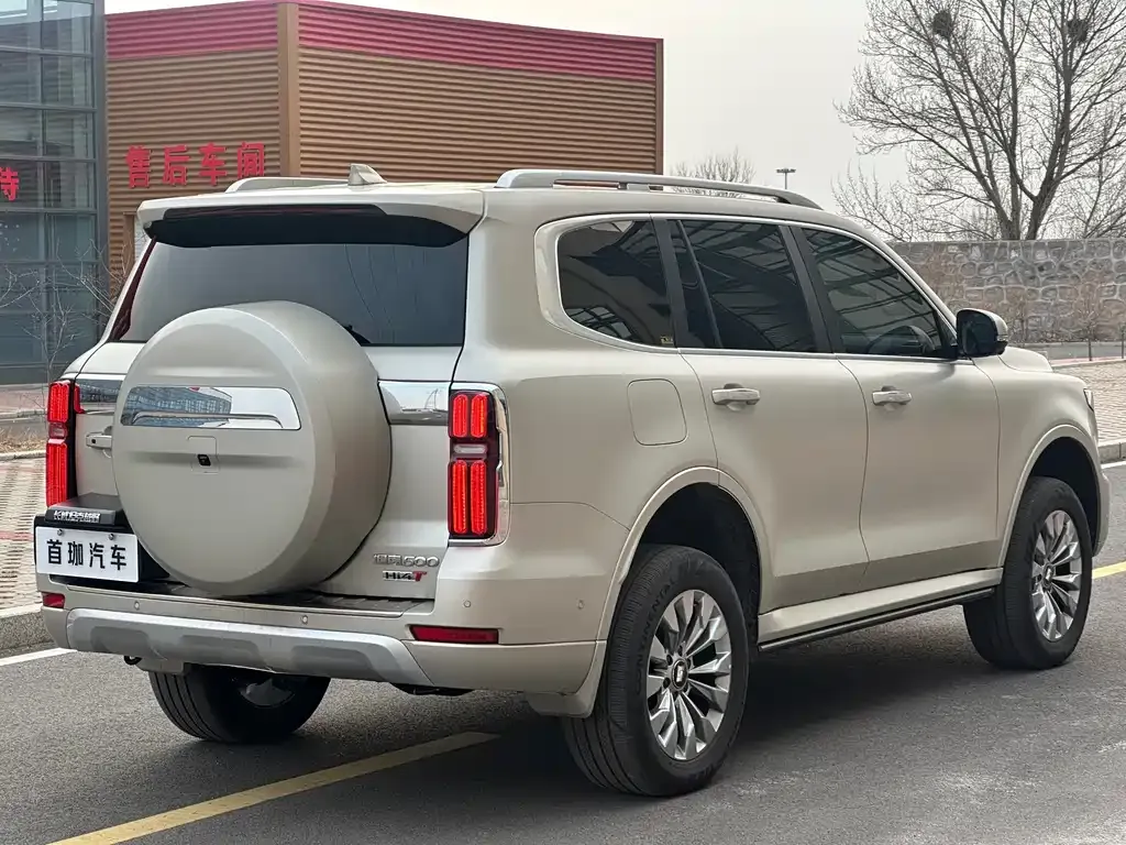 Tank 500 New Energy 2025 из CN, фото 9