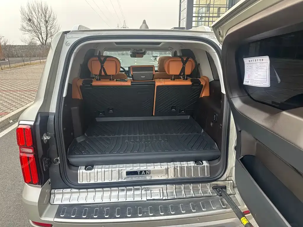 Tank 500 New Energy 2025 из CN, фото 7