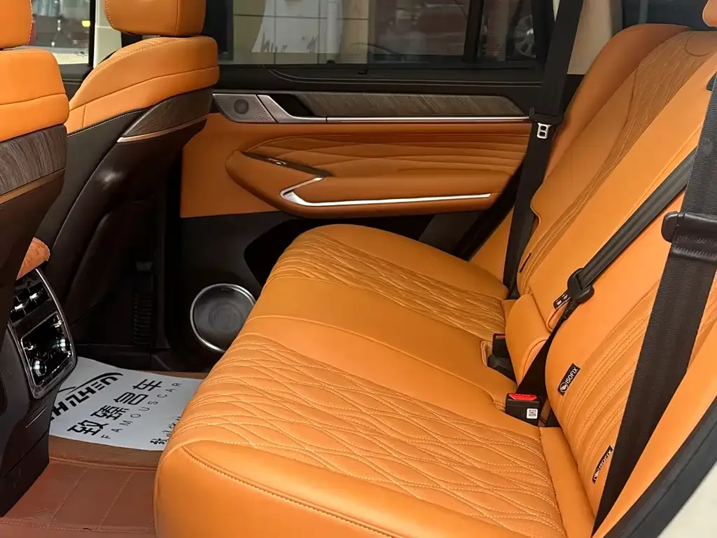 Tank 500 New Energy 2025 из CN, фото 5