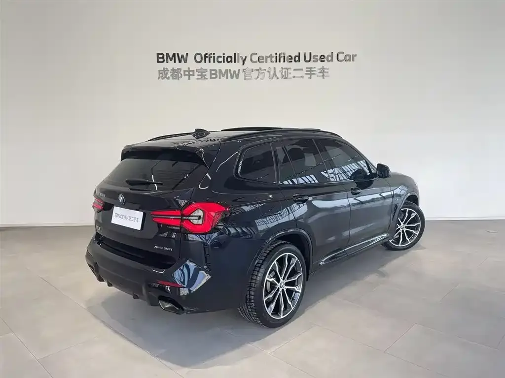 BMW X3 2024 из CN, фото 2