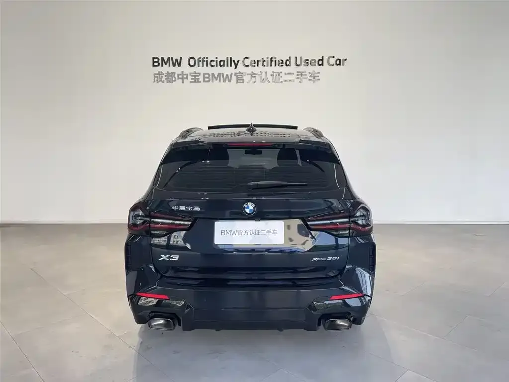 BMW X3 2024 из CN, фото 6