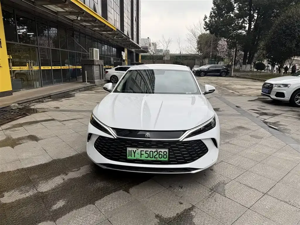BYD Qin L 2024 из CN, фото 2