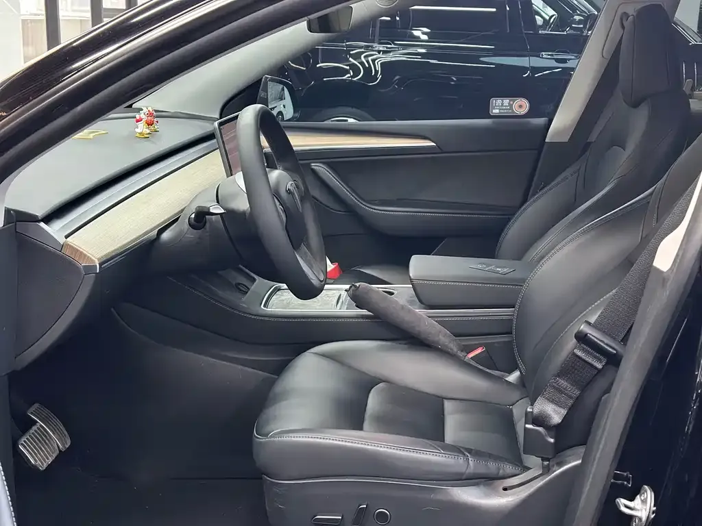 Tesla Model Y 2022 из CN, фото 9