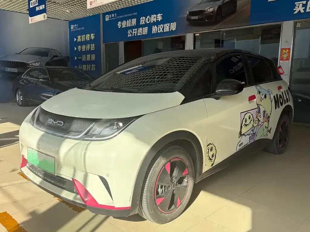 BYD Dolphin 2023 из CN, фото 1