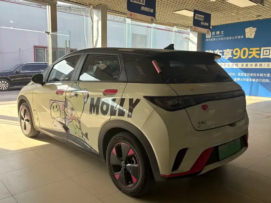 BYD Dolphin 2023 из CN, фото 8