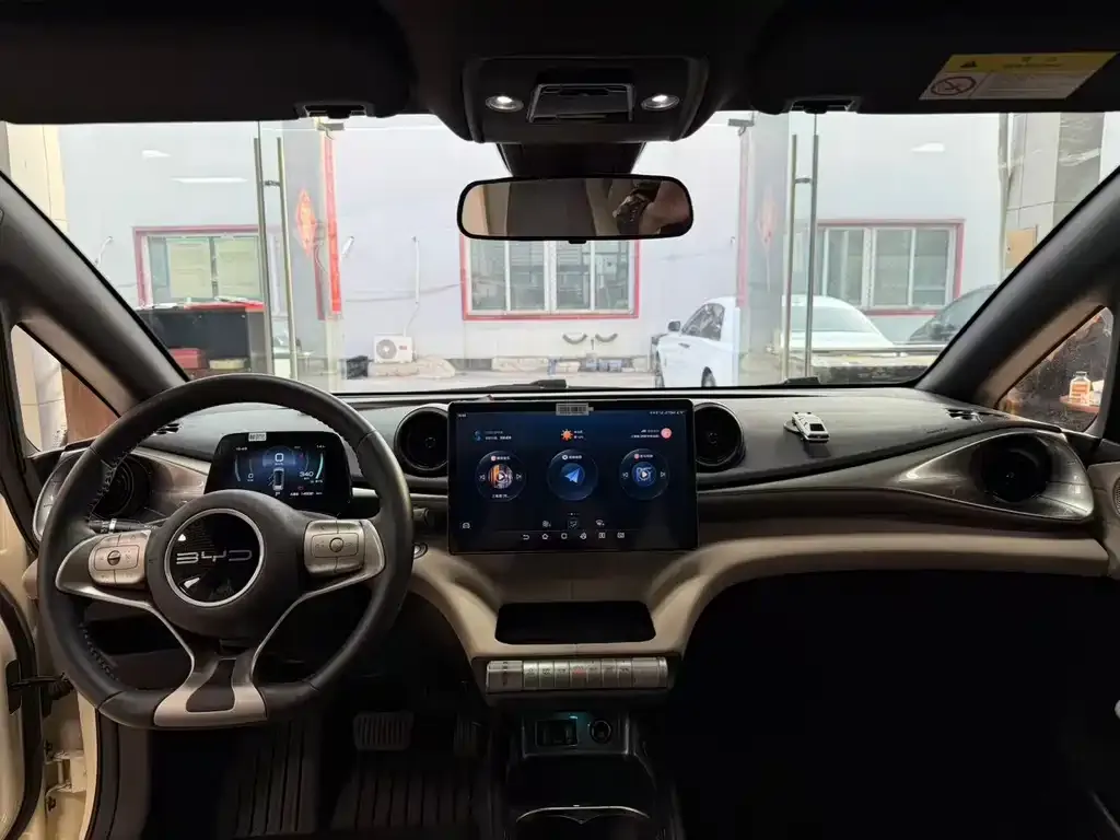 BYD Dolphin 2023 из CN, фото 2