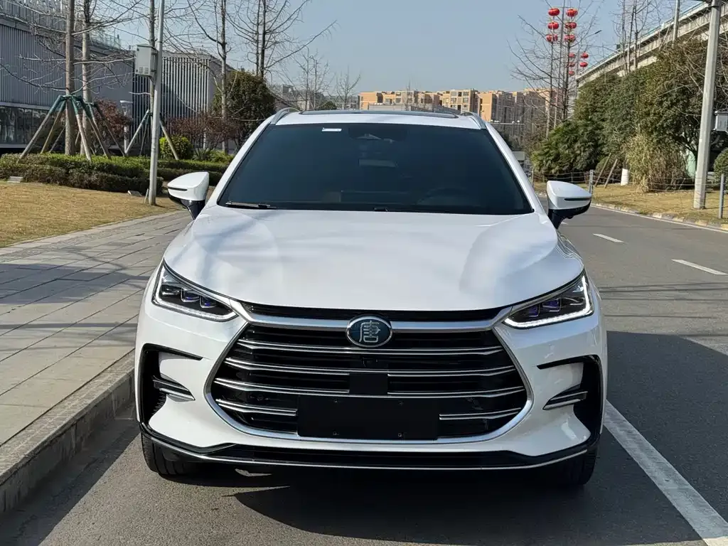 BYD Tang New Energy — фото 6