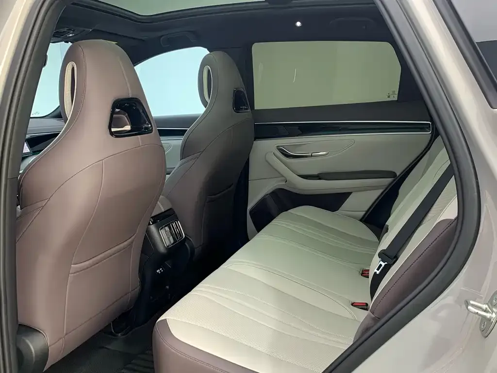 BYD PLUS New Energy 2024 из CN, фото 4