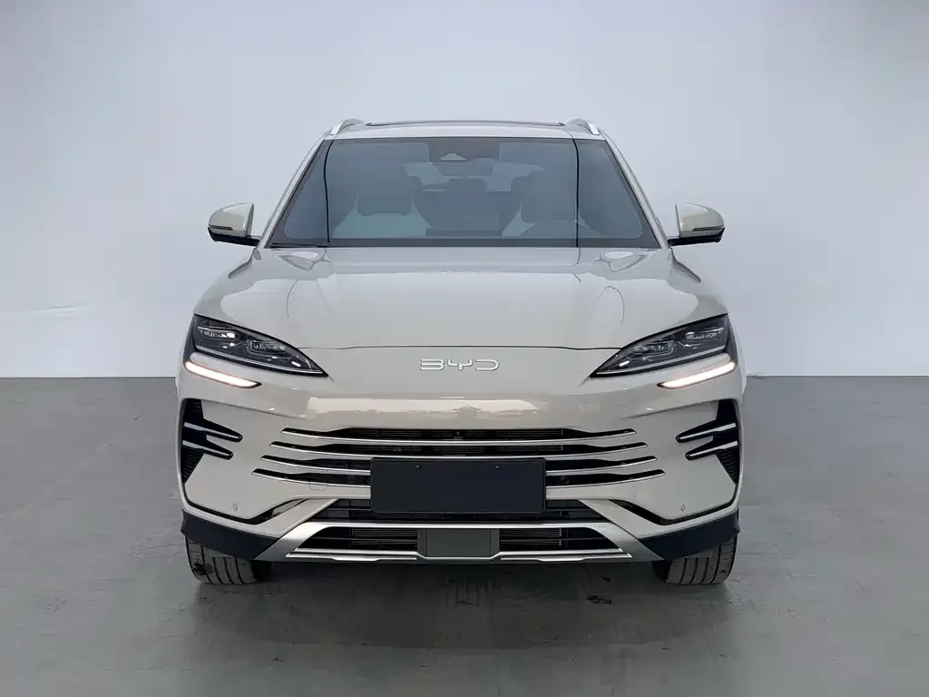 BYD PLUS New Energy 2024 из CN, фото 5