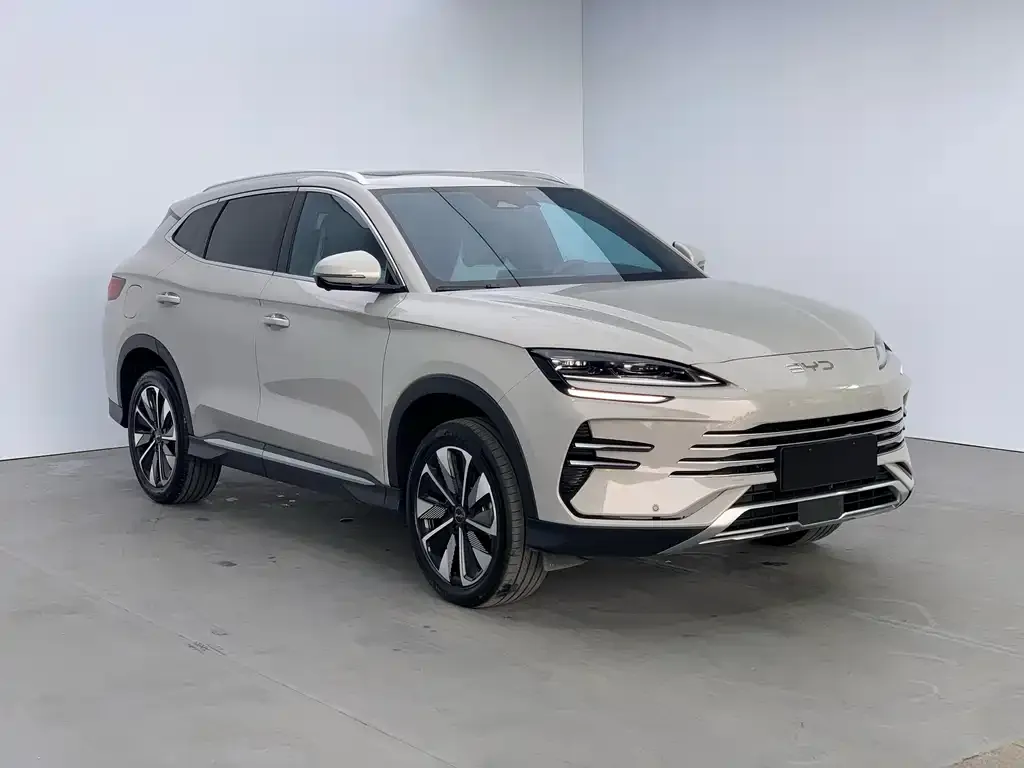 BYD PLUS New Energy 2024 из CN, фото 8