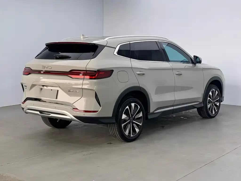 BYD PLUS New Energy 2024 из CN, фото 7