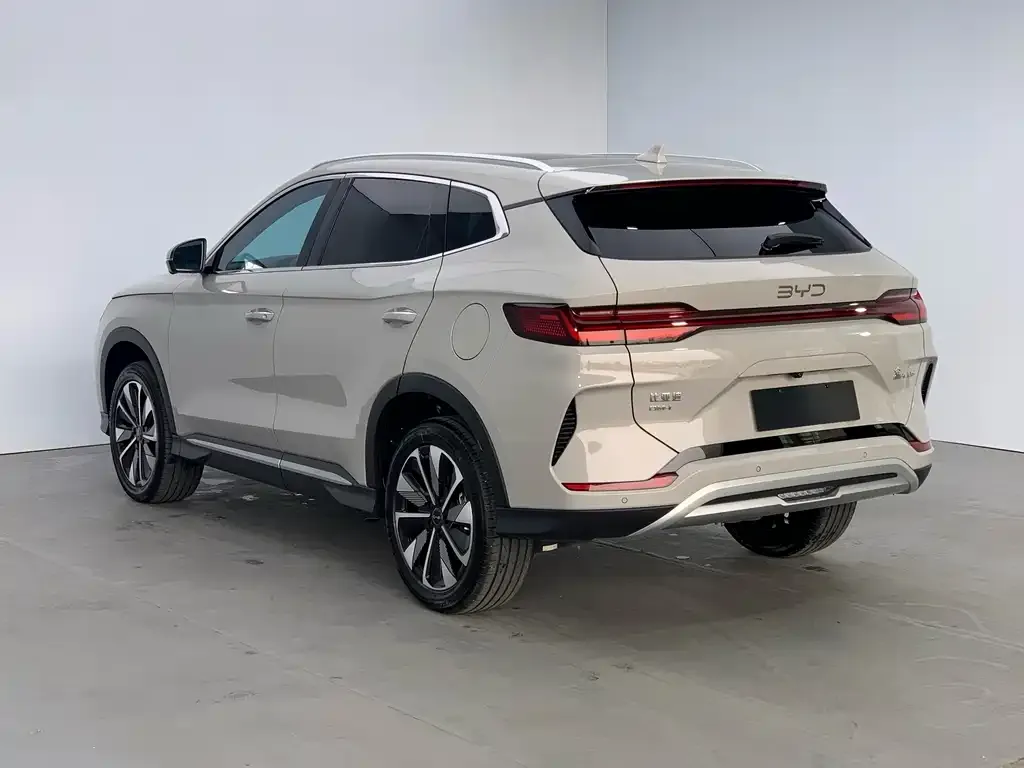 BYD PLUS New Energy 2024 из CN, фото 2