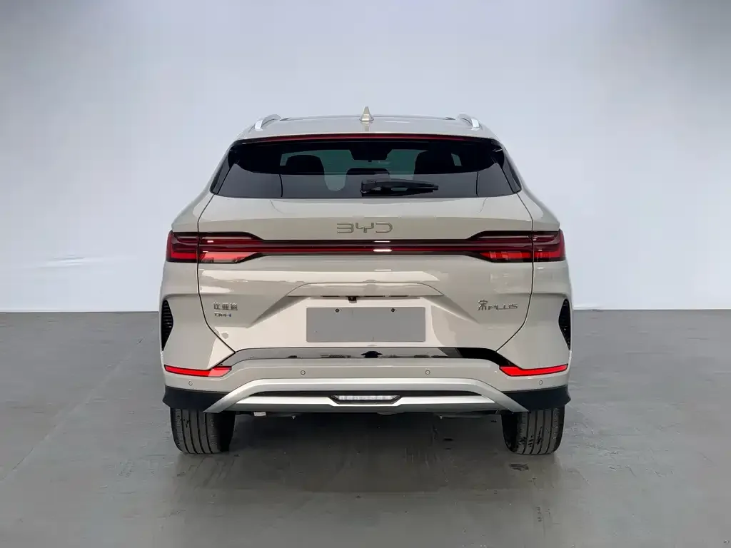 BYD PLUS New Energy 2024 из CN, фото 3