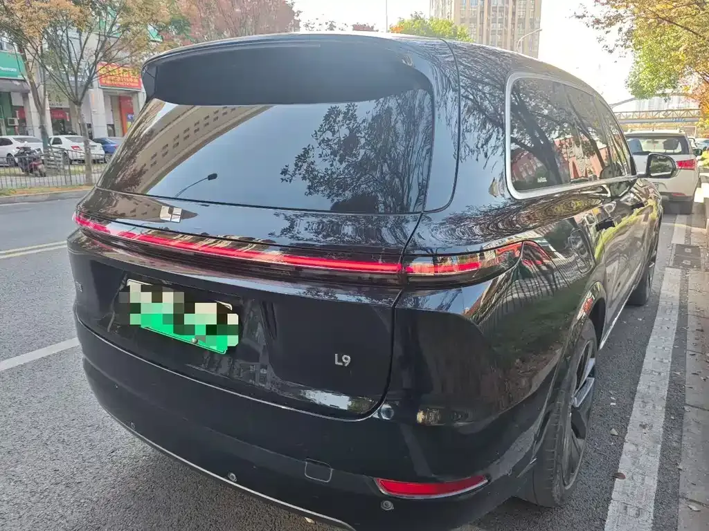 Li Auto Li L9 2023 из CN, фото 9