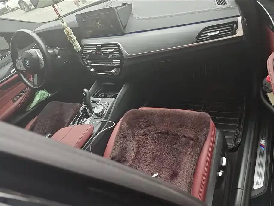 BMW 5 Series 2023 из CN, фото 6