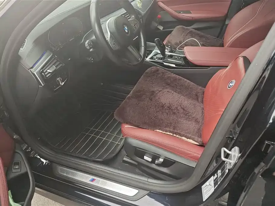 BMW 5 Series 2023 из CN, фото 9