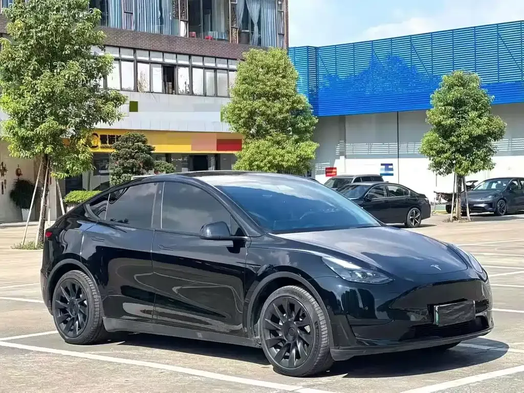 Tesla Model Y — фото 1