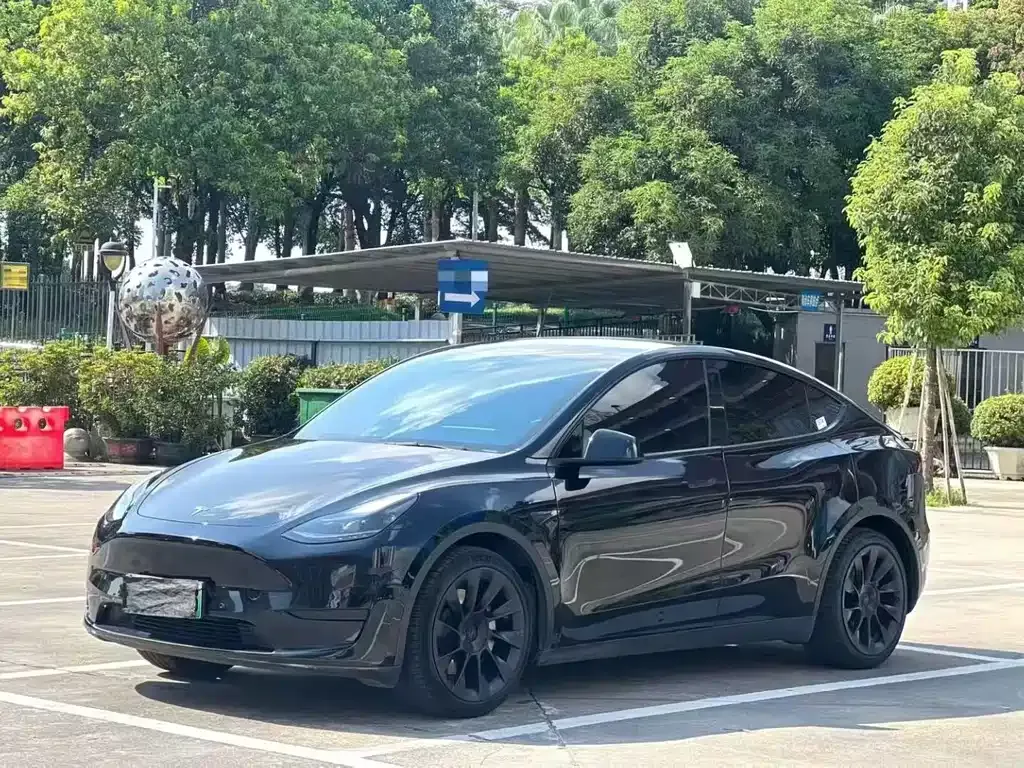 Tesla Model Y — фото 6