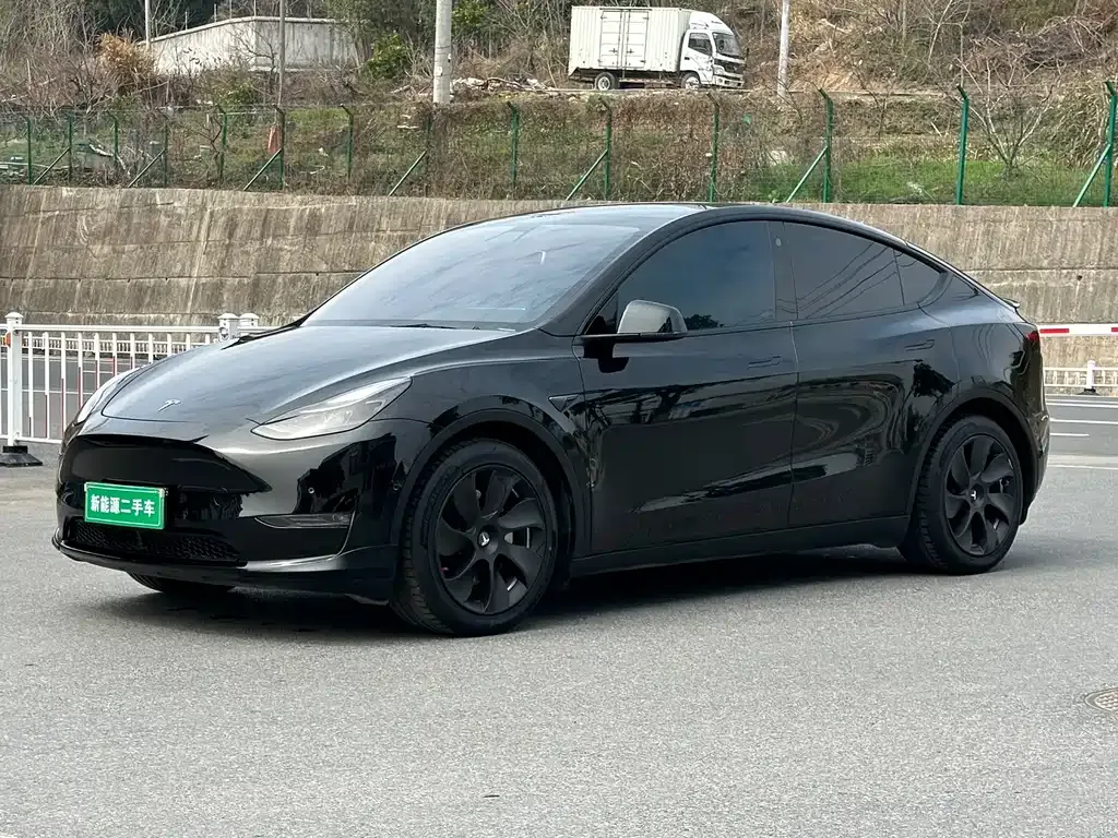 Tesla Model Y — фото 1