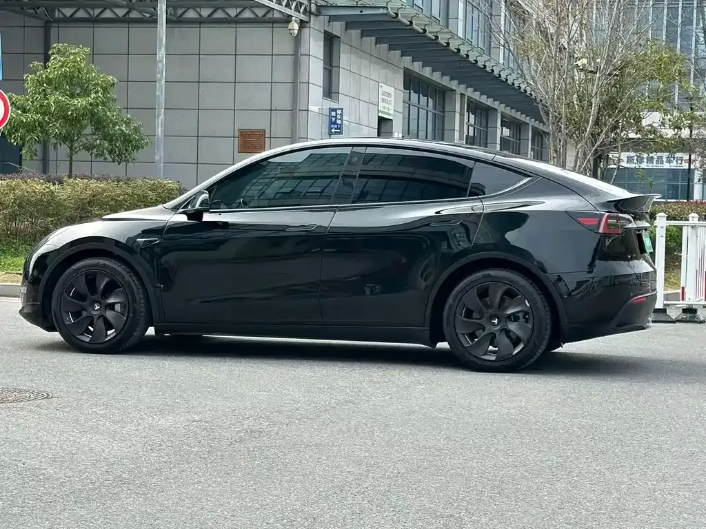 Tesla Model Y — фото 10