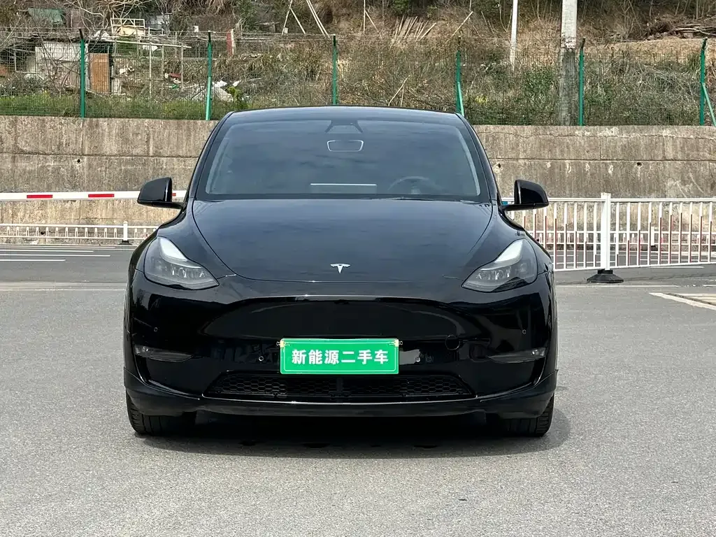 Tesla Model Y — фото 9