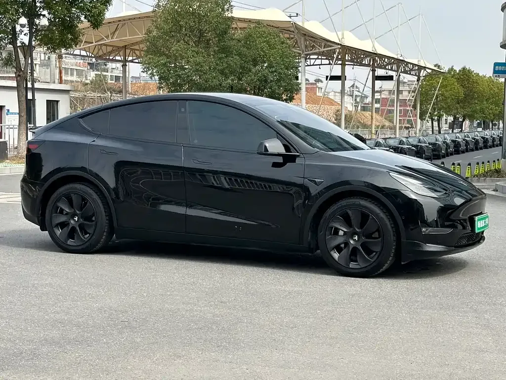 Tesla Model Y — фото 7