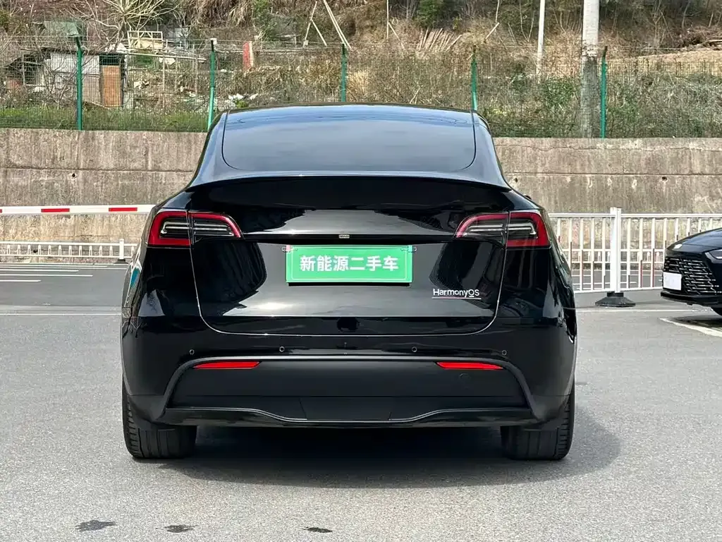 Tesla Model Y — фото 8